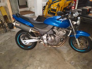 Hornet 600