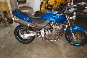 Hornet 600