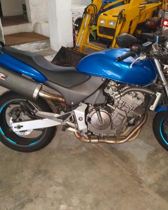 Hornet 600