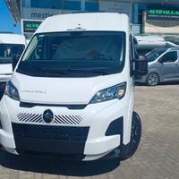 Roller Team LIVINGSTONE 2