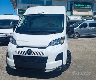 Roller Team LIVINGSTONE 2