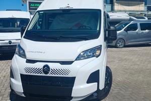 Roller Team LIVINGSTONE 2