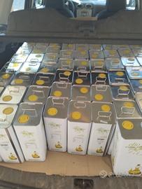raccolta olive 