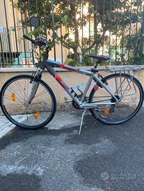 City Bike uomo Bianchi Spillo
