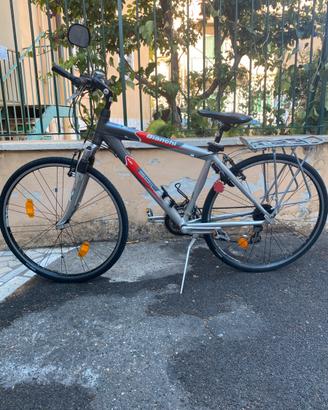 City Bike uomo Bianchi Spillo