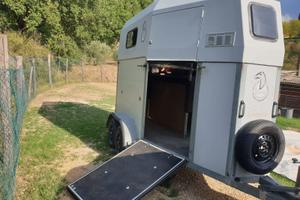 Trailer trasporto cavalli 2 posti