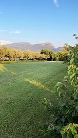 Paestum Cilento B&B casa x vacanza vicino al mare