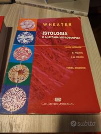 Istologia e anatomia microscopica, atlante Wheater