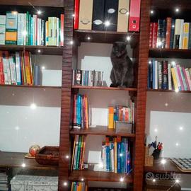 Libreria Palissandro Indiano Massello 251x219 cm