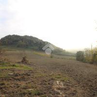 TER. AGRICOLO A CESENA