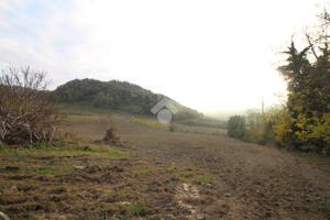 TER. AGRICOLO A CESENA