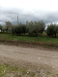 Terreno a San giorgio del sannio