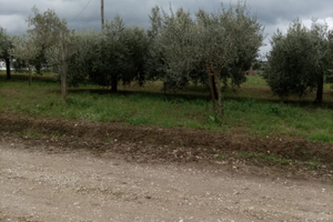 Terreno a San giorgio del sannio