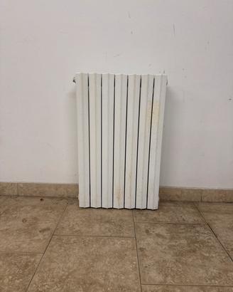 Termosifone in ghisa