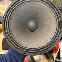 Woofer subwoofer 250mm 10pollici 300w