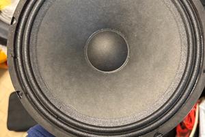 Woofer subwoofer 250mm 10pollici 300w