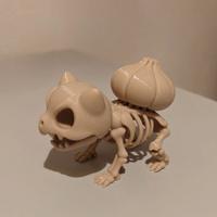 Pokèmon Bulbasaur scheletro