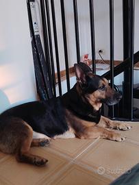 Appartamento bilocale ampio