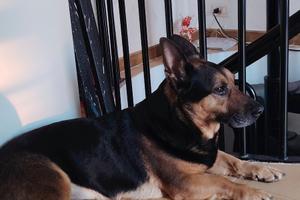 Appartamento bilocale ampio