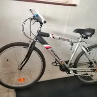 Bicicletta Mountain Bike 