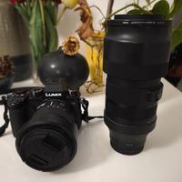 Mirrorless Luminix S5