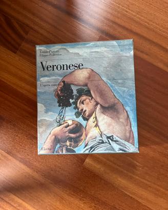 Libro d’arte veronesi