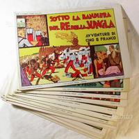 Fumetti Cino e Franco 17 Albi 1933 - 1938 più Dvd