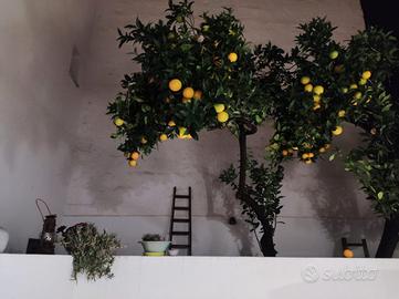 Centro storico san vito lo capo