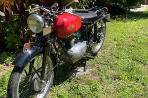 Gilera 150 Turismo 1953 - Moto d'epoca targa oro