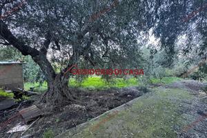 Terreno, Termini Imerese.