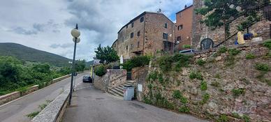 Casa Indipendente Grosseto [Cod. rif 3316293VRG]