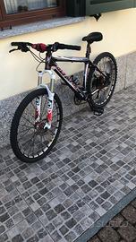 Mountain bike in carbonio