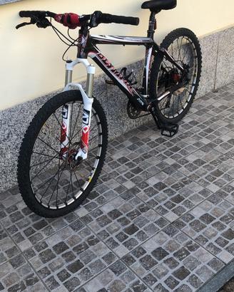 Mountain bike in carbonio