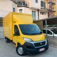 Fiat Ducato 35 2.3 MJT 130CV CASSA PLM-SL 8 BANCAL