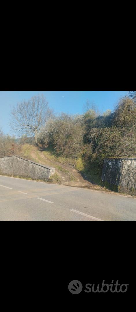 Terreno nel Cilento bellosguardo edificabile - Vista 4