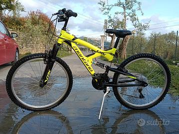 bicicletta 