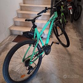 Mountain bike