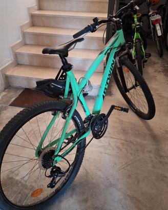 Mountain bike