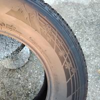 gomme invernali per pick up 