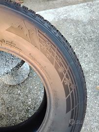 gomme invernali per pick up 