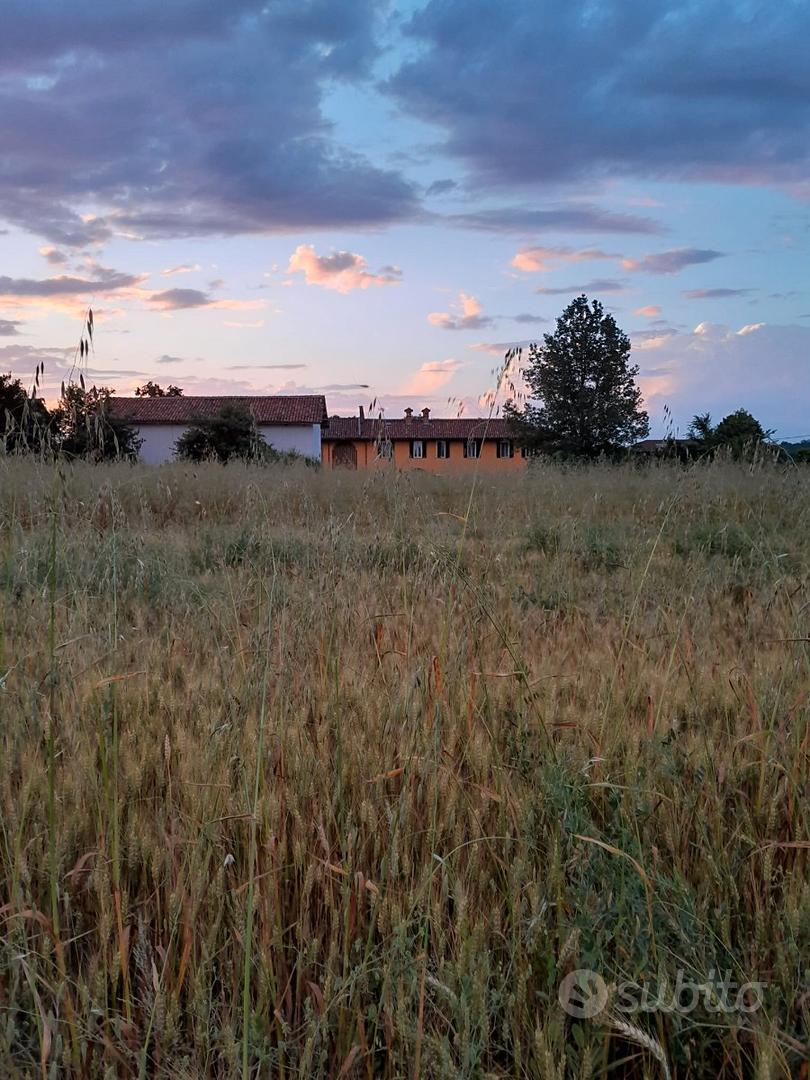 Rustico ristrutturato a nuovo con terreno - Vista 2