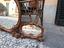 Immagine 6
