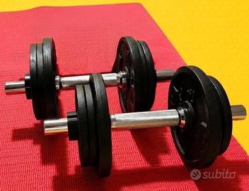 Manubri palestra con dischi pesi in ghisa