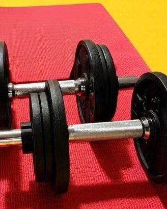 Manubri palestra con dischi pesi in ghisa