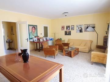 Zona Ardizzone Via presidente de nicola