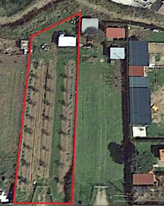 Terreno a Castiglione della Pescaia luce e acqua