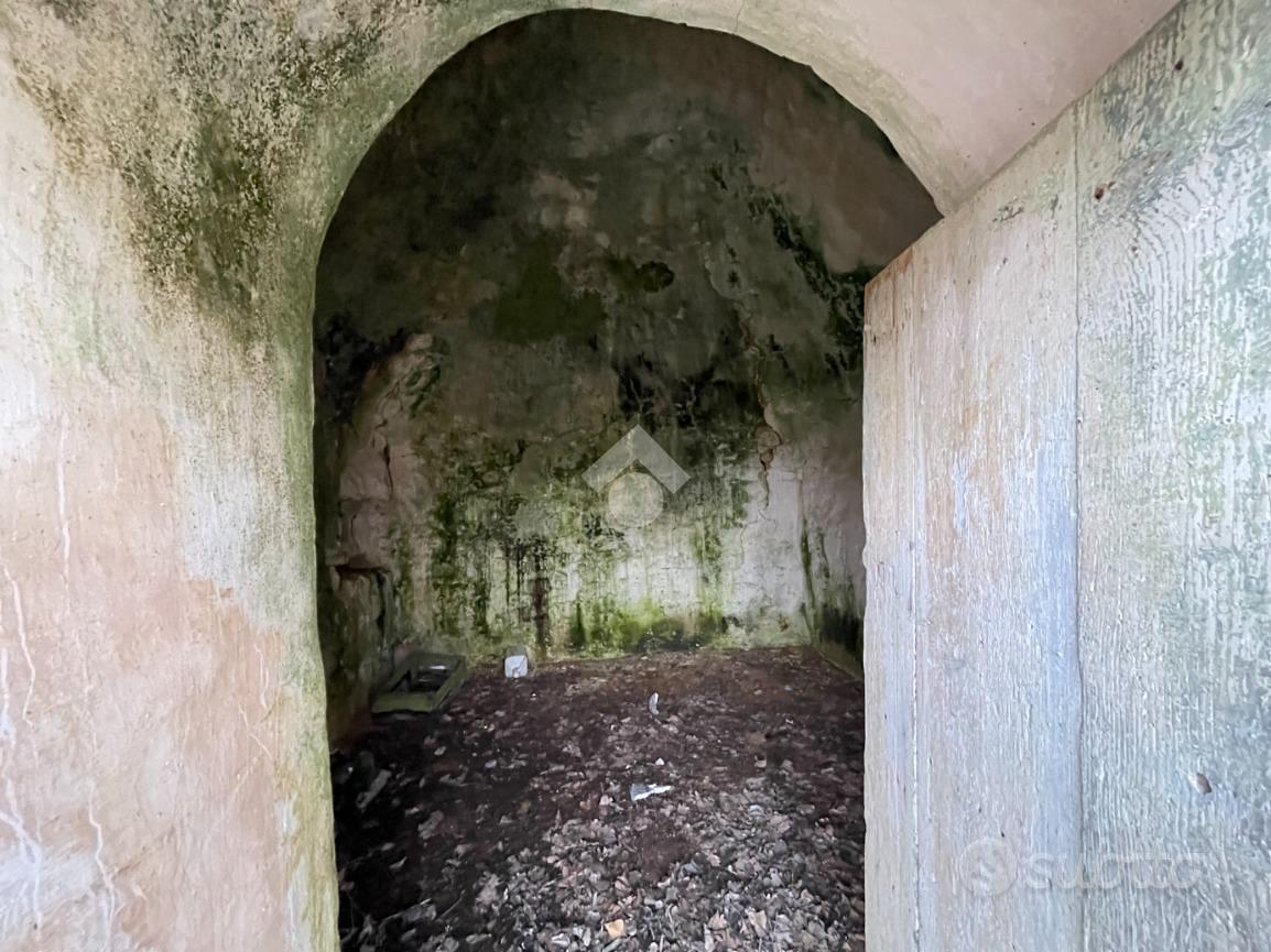 RUSTICO A CEGLIE MESSAPICA - Vista 5