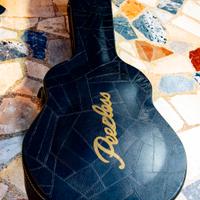 Chitarra semiacustica professionale jazz