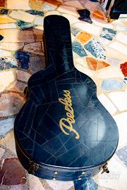 Chitarra semiacustica professionale jazz