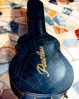 Chitarra semiacustica professionale jazz